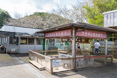 🐿️ 숲과 다람쥐 유원지 (모리토 리스노 유엔치 메르헨무라) 이미지 4